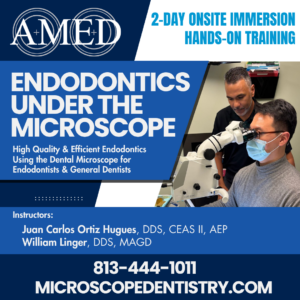 AMED Charlotte Courses Flyer - AMED Endo under the Microscope Square